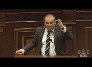 Депутат предлагает «не выкалывать глаз вместо того, чтобы поправить бровь»