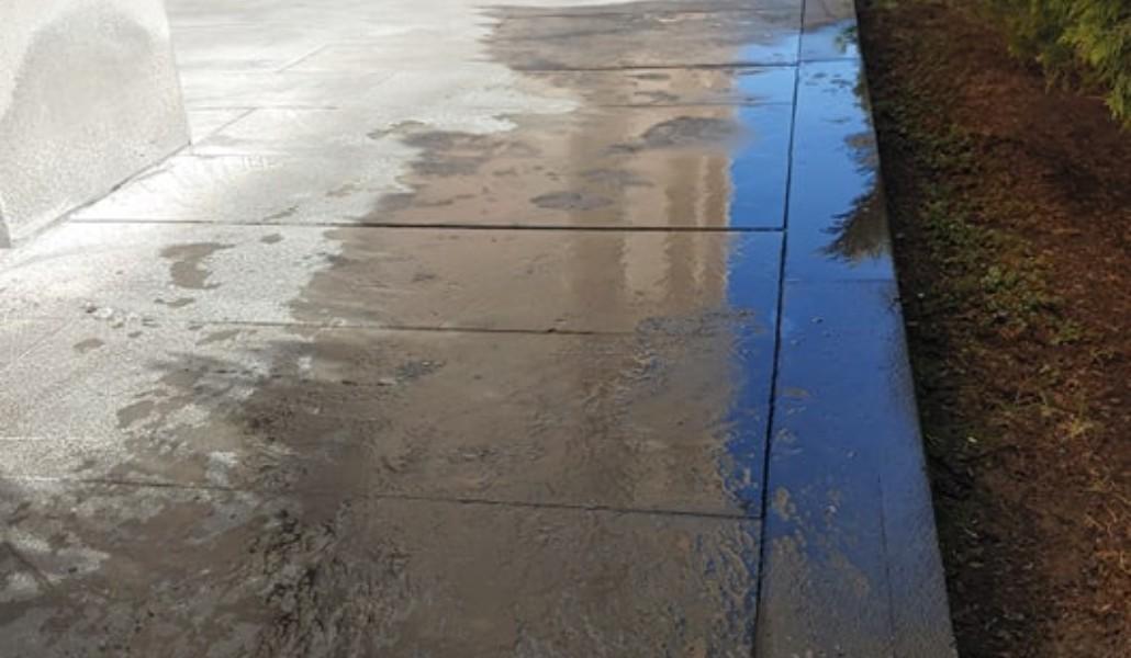 89338419_204350944110298_7404513619620134912_n