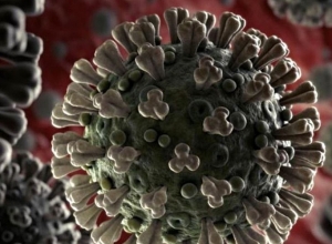 COVID-19: How much money is transferred to account?