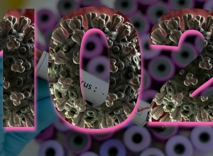 102 случая заражения коронавирусом