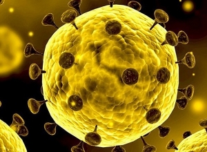 Как осуществляется точная диагностика коронавируса