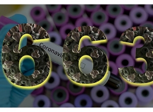 92 new confirmed cases of coronavirus