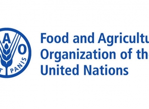 Շաքարի միջազգային գինը նվազել է, բրնձինը՝ բարձրացել