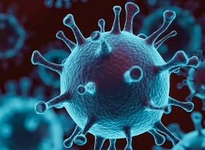 Migrants are at greater risk - UN Office for Refugees