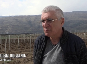 Գյուղատնտեսության ոլորտում պետական աջակցության ծրագրերը շարունակվում են