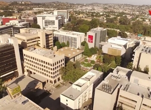 В Глендейле растет число граждан, инфицированных коронавирусом. Последние новости штата в видеоматериале