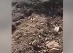 Из административной территории общины Бжни незаконно вывезли карбонатные сланцы