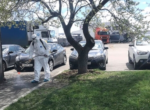 Дезинфекция в ГСПБ