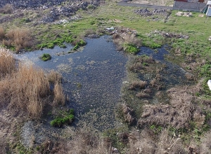 Из Аринджа бьют тревогу: создается очаг эпидемии