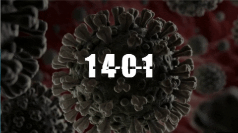 Коронавирус: картина в Армении на сегодняшний день