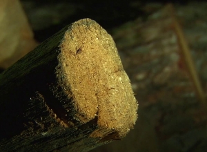 Арестован полицейский служащий: беззакония в Гугаркском и Базумском отделения полиции