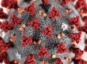 Արթիկում կորոնավիրուսի դեպք է հաստատվել. ընտանիքի անդամները մեկուսացվել են