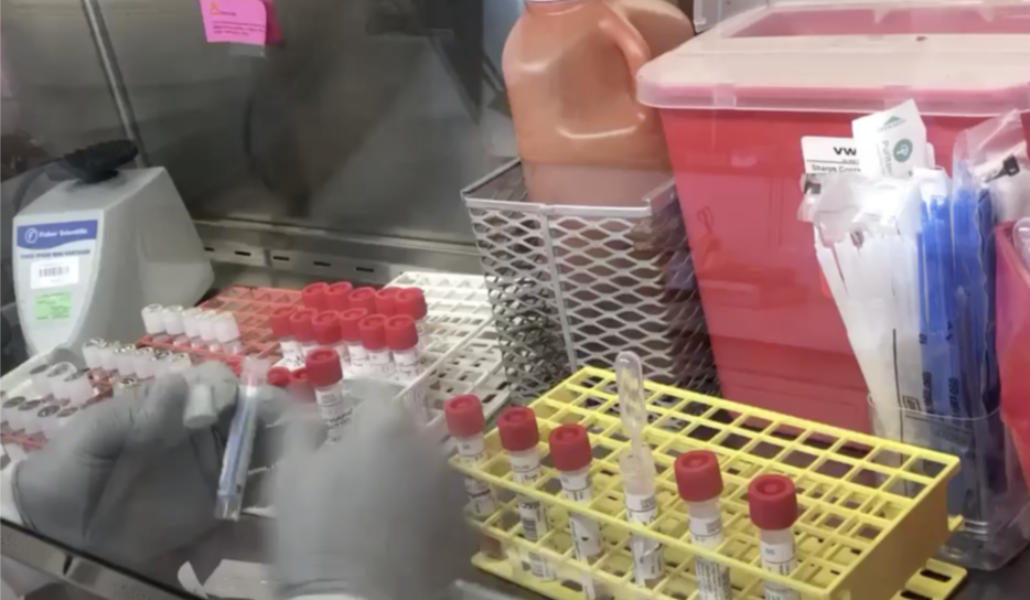 C5E8395B-9FDF-4BD1-BAEE-BEAF2A20C154_w1023_r1_s