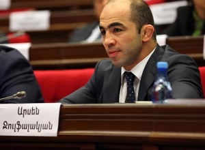 ԱԺ պատգամավորը մտահոգված է Հայաստանի մարզիկների ներկայիս կարգավիճակով