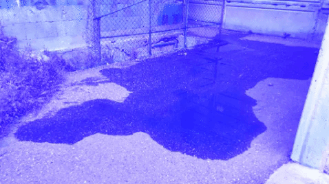 Մայրը տանն էր, երբ հայրը երեխաների հետ ցած է  նետվել. հարեւաններ