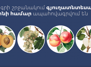 В сельскохозяйственной отрасли продлена экспериментальная программа по внедрению страховой системы