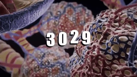 3029 cases of coronavirus registered in Armenia