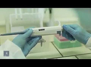 Институт молекулярной биологии в скором времени начнет производство тестов, диагностирующих коронавирус