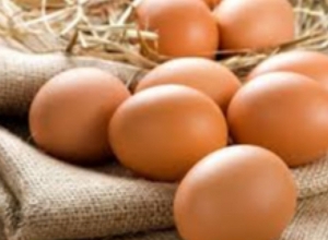 Հայտնաբերվել է չմակնշված ձվի խմբաքանակ,«Բ» դասի թռչնի ձու․ ՍԱՏՄ