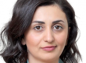 Azerbaijan’s statement about shooting down two Su-25 aircrafts of the Armed Forces of Armenia is false information - Shushan Stepanyan