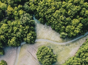 It is time for nature - World Environment Day