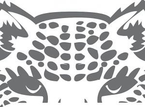 Новое финансирование для сохранения леопарда в Тавушской области