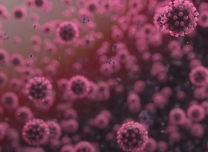 Ситуация с коронавирусом в Арцахе