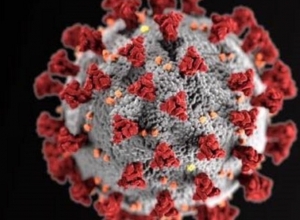 Ситуация с коронавирусом в Сюникской области