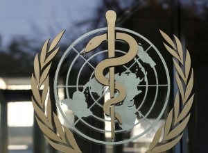ВОЗ решила обновить руководство по гендерной проблематике и признать третий пол
