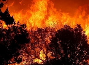 Пожароопасная ситуация: МЧС призывает быть бдительными