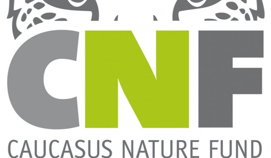 CNF_Logo_HIgherRes-951x1024