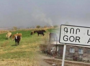 Վախենում ենք, որ ադրբեջանցիներն են գողացել Նարեկին․ Էդմոն Մարուքյանի գրառումը