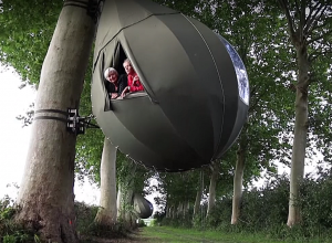 Բելգիացիների անսովոր ամառային հանգիստը՝ ծառից կախված կաթիլում