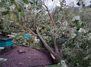 Նոյեմբերյանում երկինքը պատռվել է, միշտ մի աղետ, մի վնաս․ Նիկոլայ Գրիգորյան