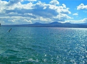 Проблема активизации сине-зеленых водорослей в озере Севан: Пресс-конференция в прямом эфире