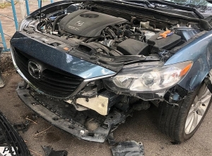 Շների ոհմակը հարձակվել է մեքենայի վրա ու ջարդուխուրդ արել