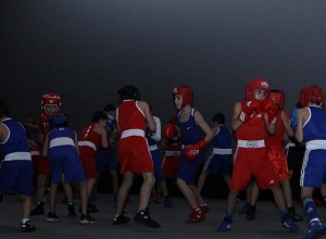 Այսօր Բռնցքամարտի միջազգային օրն է. նախարարը շնորհավորել է