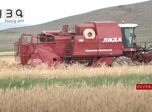 Աշնանացան ցորենի սերմերի գինը մասնակի կսուբսիդավորի կառավարությունը