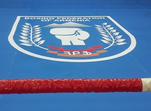 Խնդրում ենք ուշադրություն չդարձնել ապատեղեկատվություններին. Բռնցքամարտի ֆեդերացիա