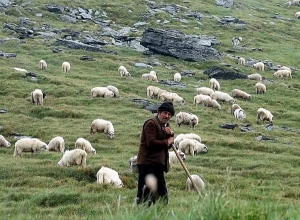 Օգոստոսի առաջին կիրակին նշվում էր որպես անասնապահության և հովիվների օր․ Էդմոն Մարուքյան