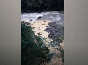 Դեբեդի ջրերին են խառնվում  լքված հանքերի և պոչամբարների թափոնները. բնապահպանն ահազանգում է