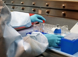 6 случаев смерти от коронавируса