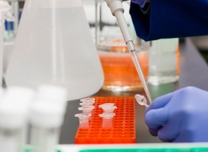 За сутки зафиксировано 2 новых случая смерти от коронавируса