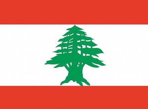 Мане Геворгян: Правительство РА специальным рейсом доставит в Бейрут адресную помощь