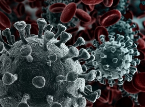 Подтвержденных случаев коронавируса 39819