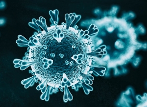 8 смертей, 256 новых случаев: коронавирус сегодня