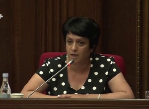 Պարետատնից զանգել են Դուբայից եկող քաղաքացուն և ցանկացել խոսել Արսենի հետ, ով 1 տարեկան է