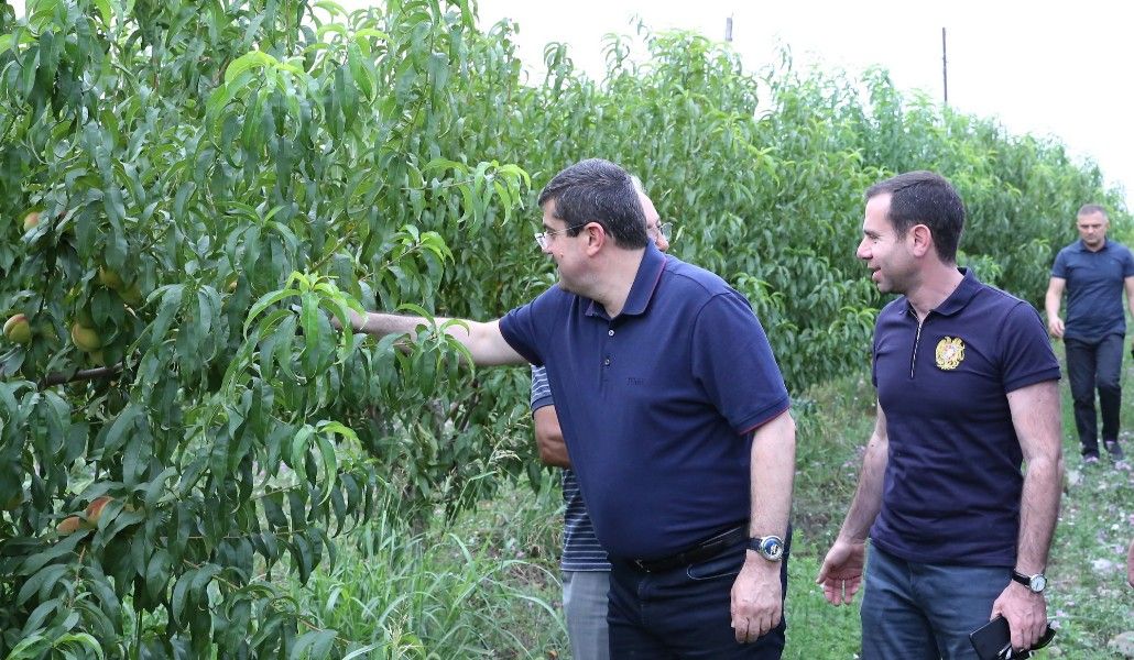 160820AycAskeran (1)