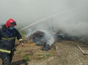 About 350 ha of fodder burned in Argavand village
