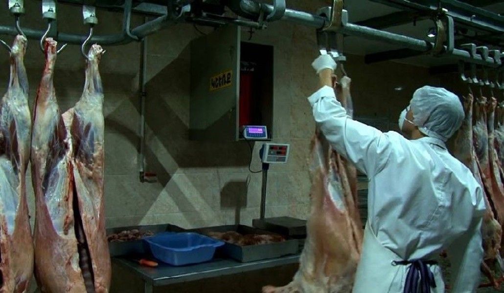 118581232_2683043088645393_2617754556316593891_n